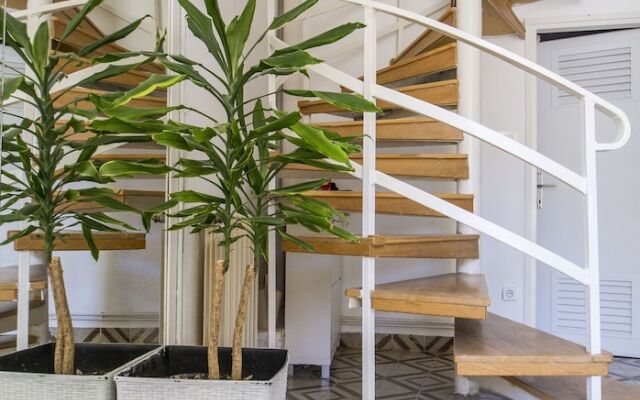 Apartment Zorana