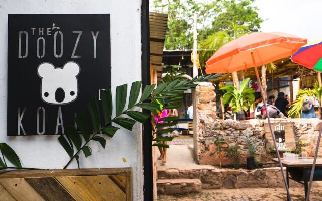The Doozy Koala Hostel