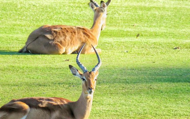 San Lameer Villa 3002 by Top Destinations Rentals