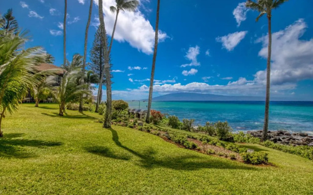 Mahina Surf