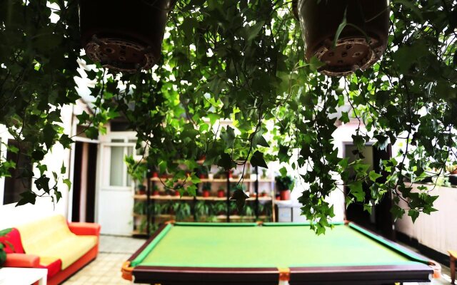 Nanjing Sunflower Youth Hostel