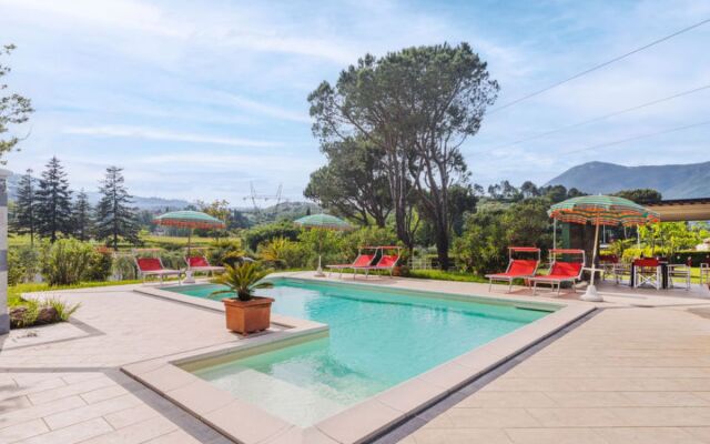 Verde Versilia (CMA225)