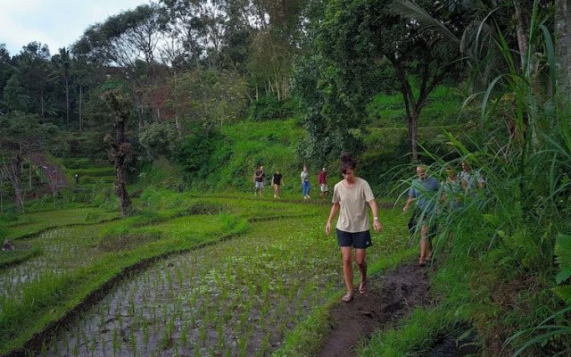 Tetebatu Valley Bungalows