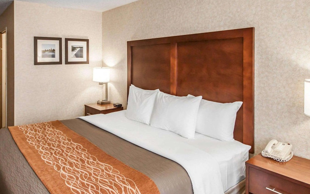Quality Inn