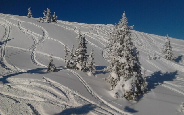 Cozy Chalet in Fusch an der Großglocknerstraße With Sauna