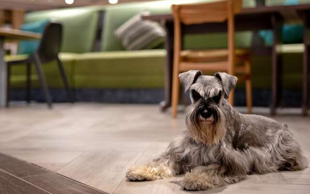 Home2 Suites by Hilton Lexington Hamburg