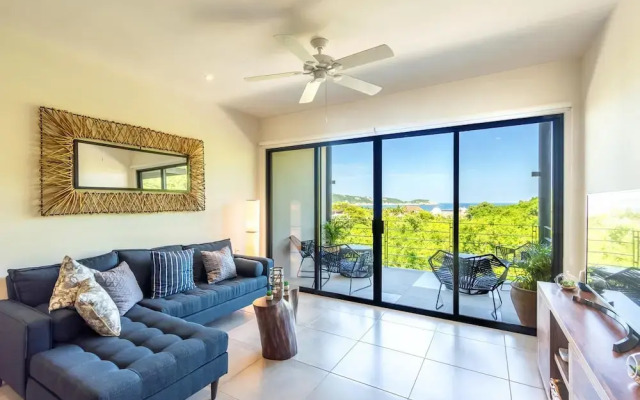 Agaves 204