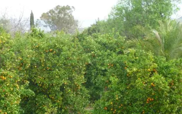 Valencia Grove Villa