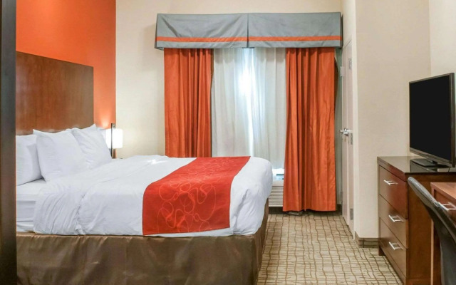 Comfort Suites Roswell North