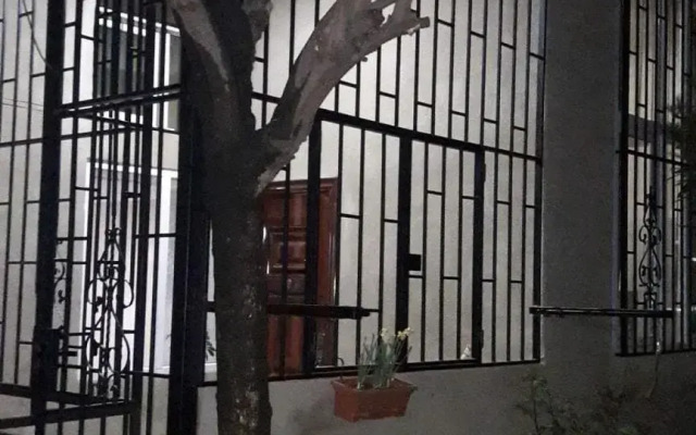 33 Birds