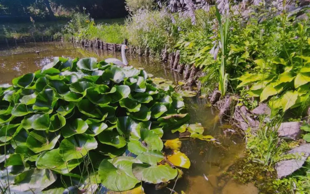 Apartamenty Pod Mrągowem