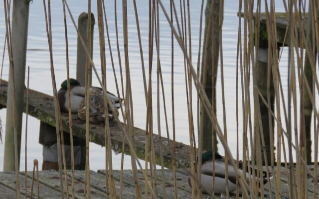 Gast-& Logierhaus Am Rheinsberger See