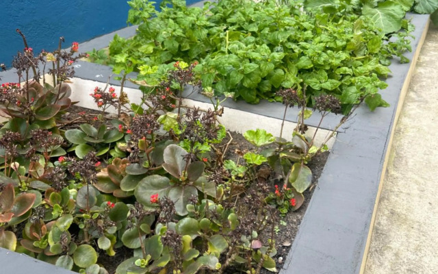 PÉ NA AREIA apartamento térreo