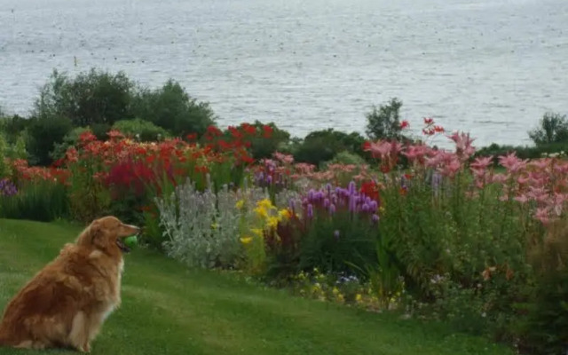 The Inn at St. Peters