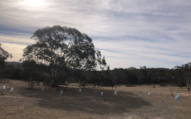 Big Tiny The Saddle Camp Tiny House