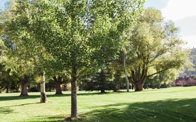 Three Kings Condo Near the Lifts by RedAwning