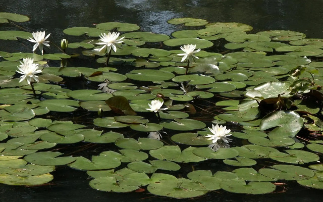 Tatsunokuchi Onsen Matsusaki
