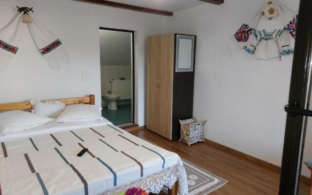 Pensiune agroturistică "Casa Teodora"