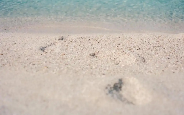 La Meta Alghero Rugby