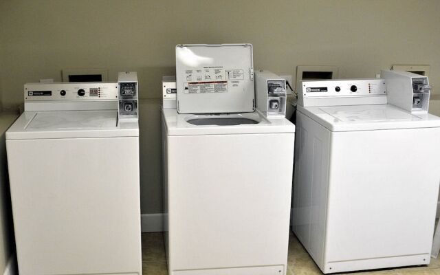 Peppertree By The Sea