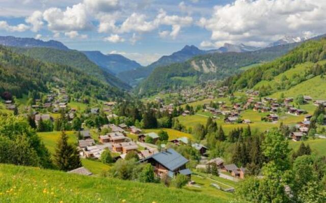 House Chalet savoyard - simplicité, pistes, calme et vue (bat215)