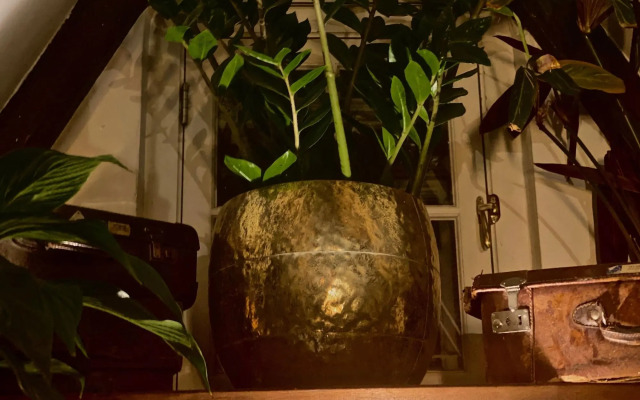 The Enlightened House