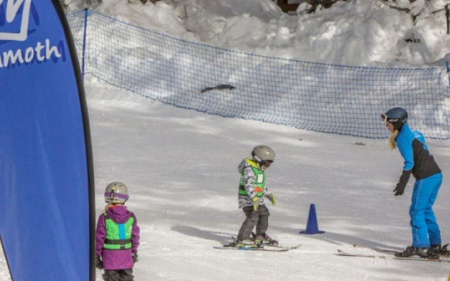 Mammoth Green Condos