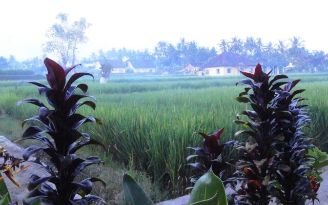 Shriman Yoga Bungalow