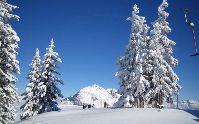 Ferienhaus Niedermoser