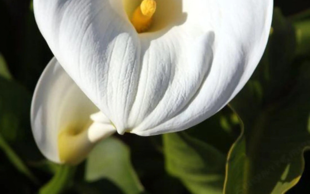 Qinglang Holiday Hotel Fuxian Lake