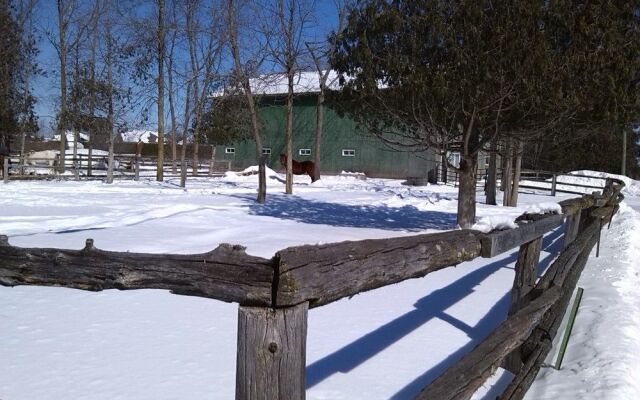 Country View Manor