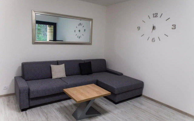 Apartment Mumlava Harrachov 5