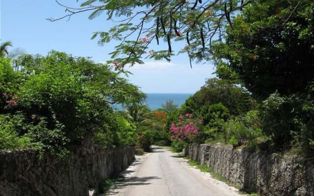 Wild Orchid 3BR by Eleuthera Vacation Rentals