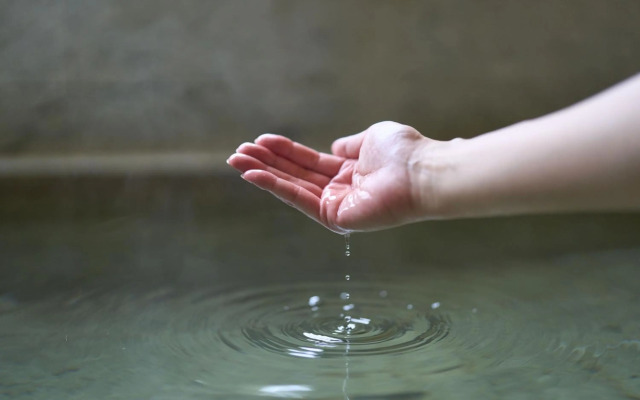 Suite Villa Hakone Gora