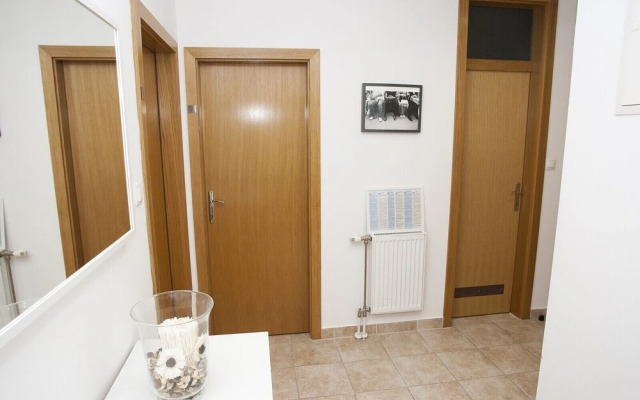 Paw Rooms