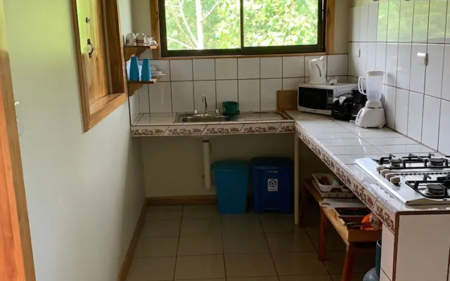 Room-villa With Primary Forest View