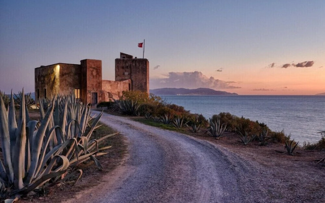 Verdidea - TORRE SPAGNOLA