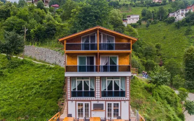 MCTSUİT