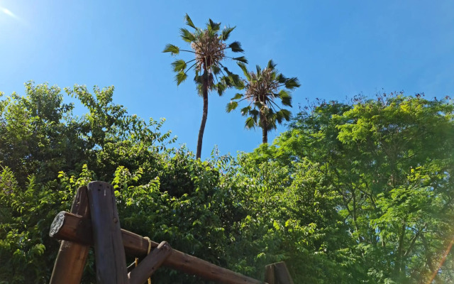 Peaches & Cream Bed & Breakfast