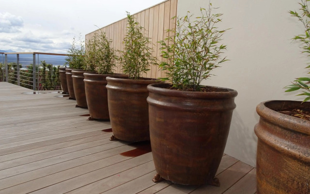 Stella Maris Luxury Apartment