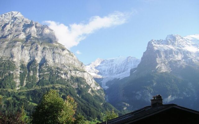 Apartment Alpin EG - Griwarent AG