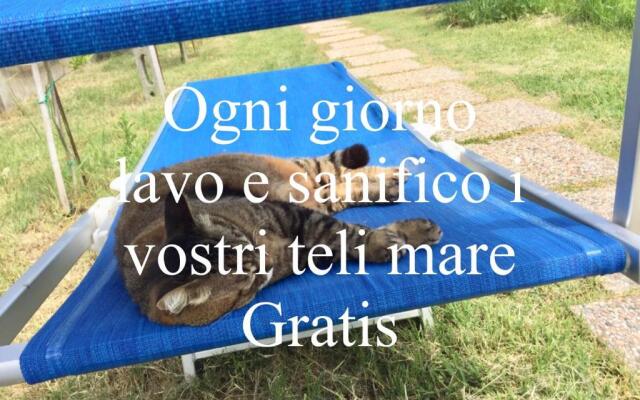 BB I Guardiani DellOrto