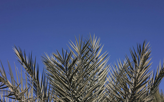 Kyriad Marseille - Vitrolles Aéroport