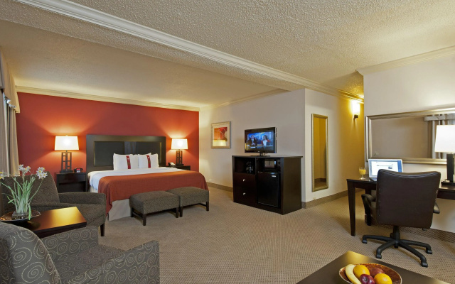 Holiday Inn Itasca - Woodfield Area