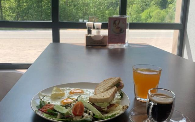 Карпатський Готель Олександрія