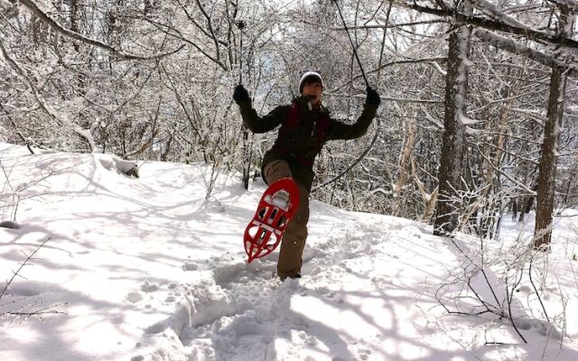 Joshin’etsukogen National Park HOTEL FUJIYA