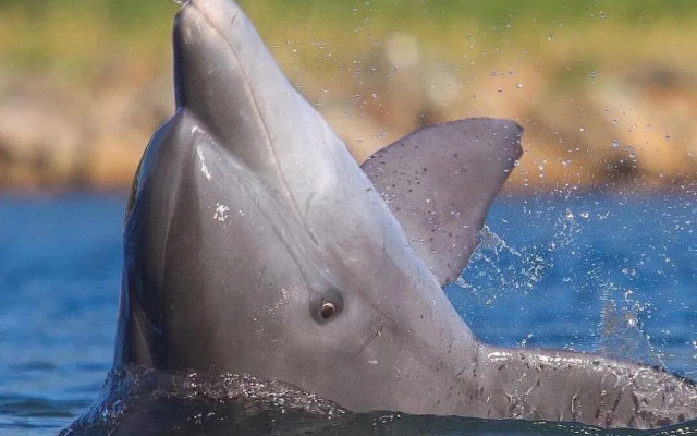 Resid. Clube Mar Grosso-Laguna - LAG706