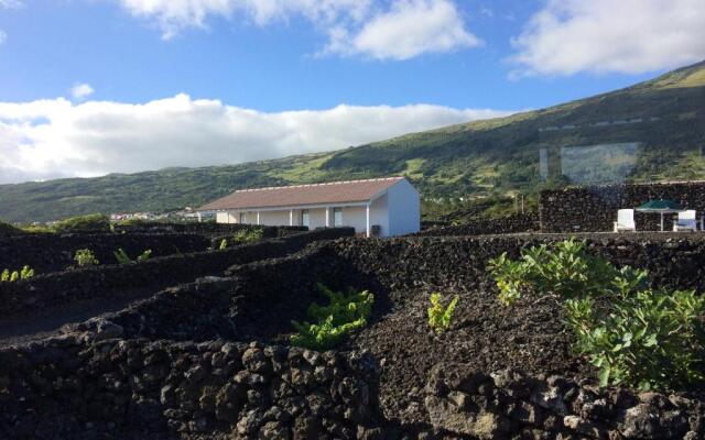 Insula Vinus Apartments