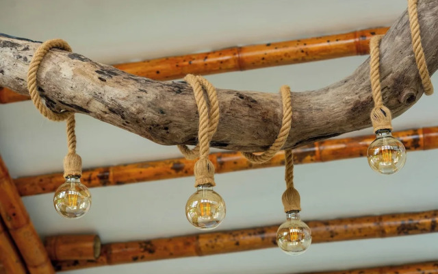 Tayrona Juancho House Hostel