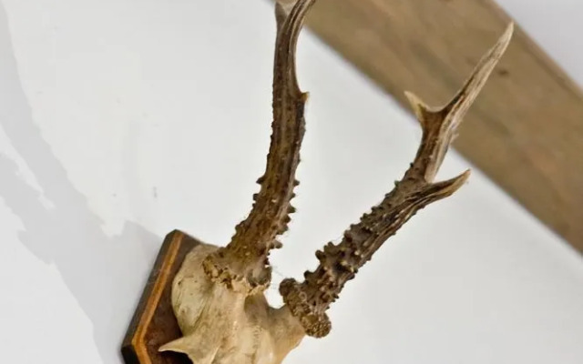 Zinkhaus - Waldheimat Alpl